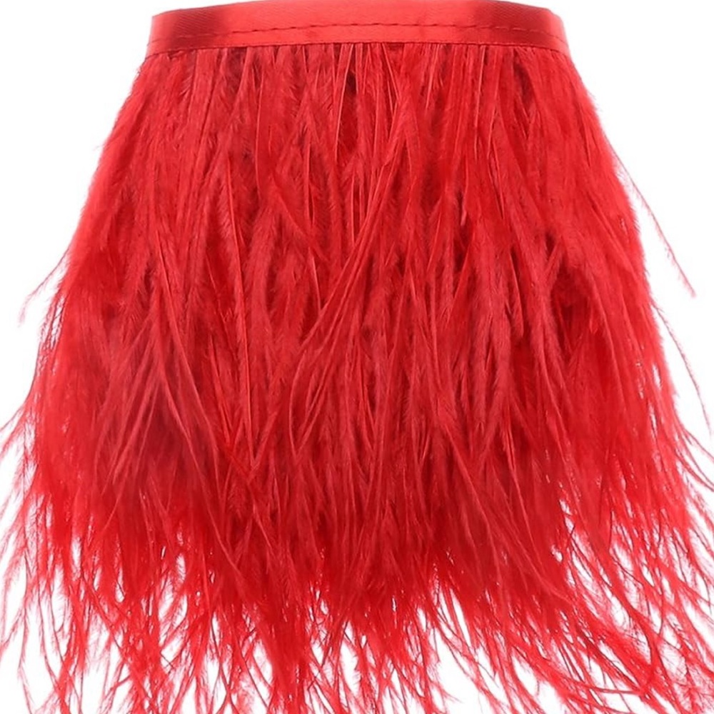 CURIO + KIND feathers skirt red short girl formal